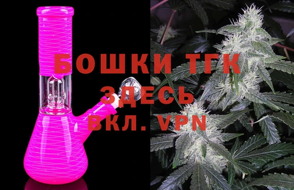молекула духа Алексеевка