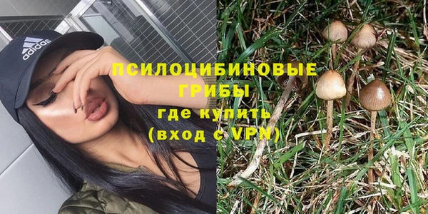 молекула духа Алексеевка