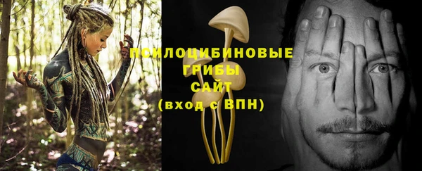 молекула духа Алексеевка