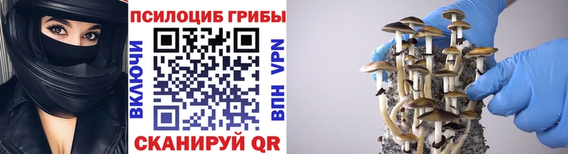 Галлюциногенные грибы MAGIC MUSHROOMS  где купить   Бирюч 